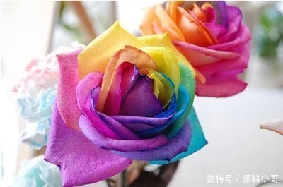 進(jìn)博會(huì)的成功舉辦對(duì)涂料顏料市場(chǎng)的影響分析